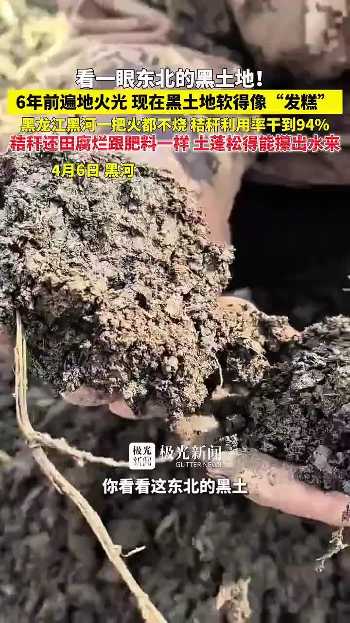 秸秆还田后的东北黑土地软得像发糕