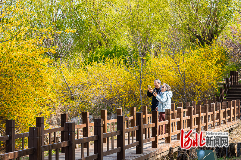 4月10日，市民在青龙湖公园游园拍照。