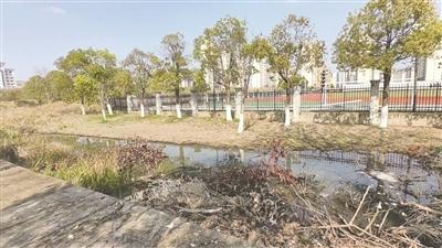 市公安局西侧围墙外,一片浅水洼,水质浑浊,水面上漂浮着枯叶、枝杈及其他杂物。