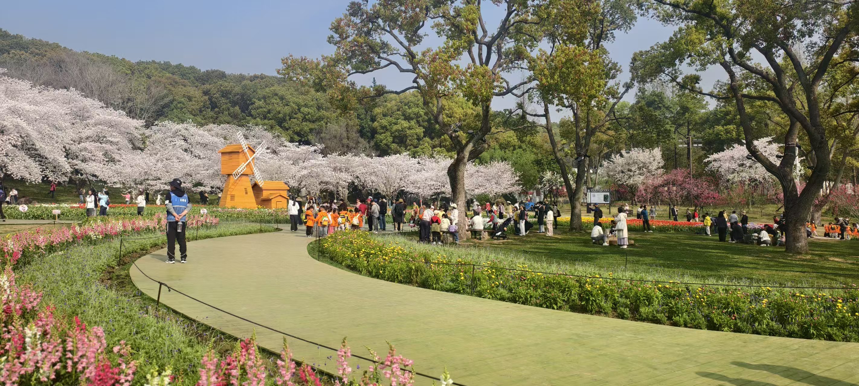 6天超1200万人次，苏州如何打造春假“引力场”？