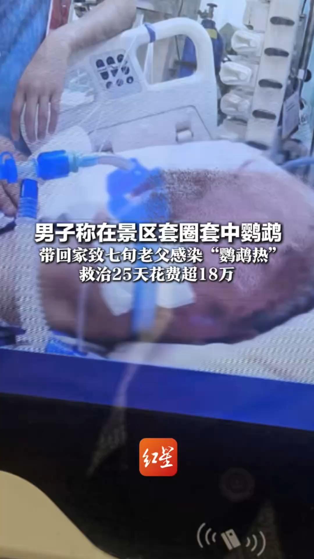 男子称在景区套圈套中鹦鹉 带回家致七旬老父感染“鹦鹉热” 救治25天花费超18万 律师：景区若未尽监督义务需担责