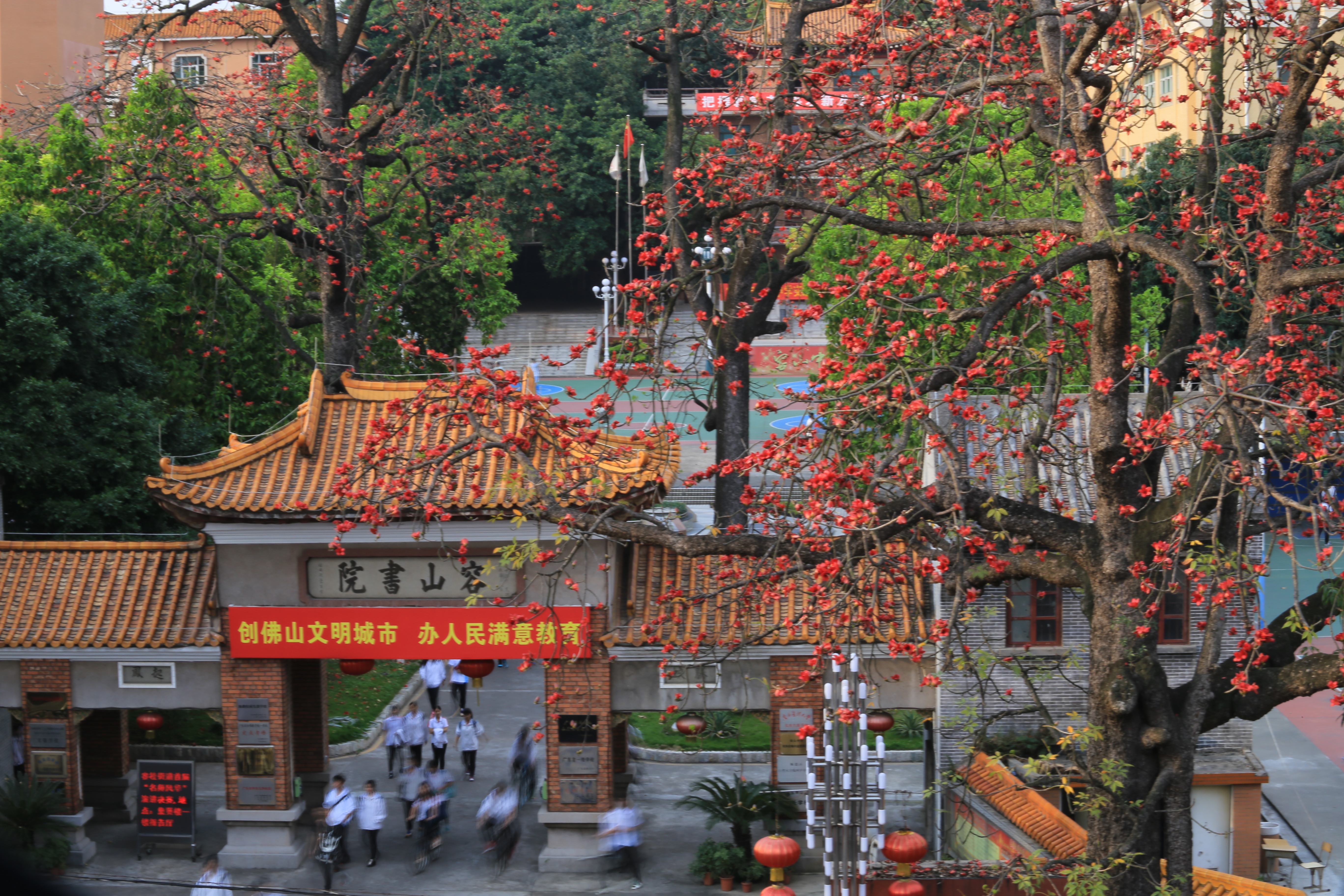 红棉花开,诗韵千载——这座218年历史的广东四大书院,藏不住了!