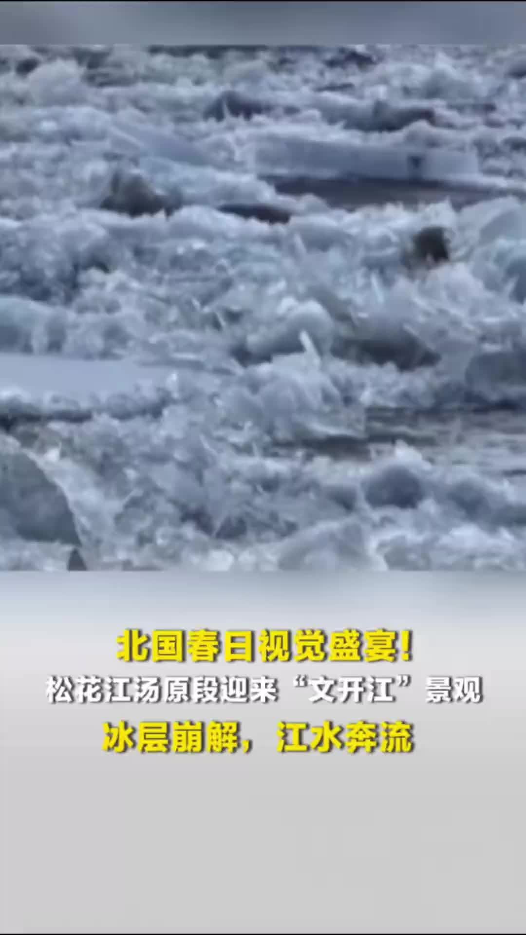 北国春日视觉盛宴！松花江汤原段迎来“文开江”景观，冰层崩解，江水奔流