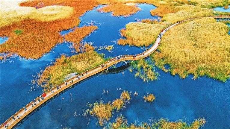 《金色桥梁》　新甘肃&middot;甘肃日报特邀通讯员　王永江