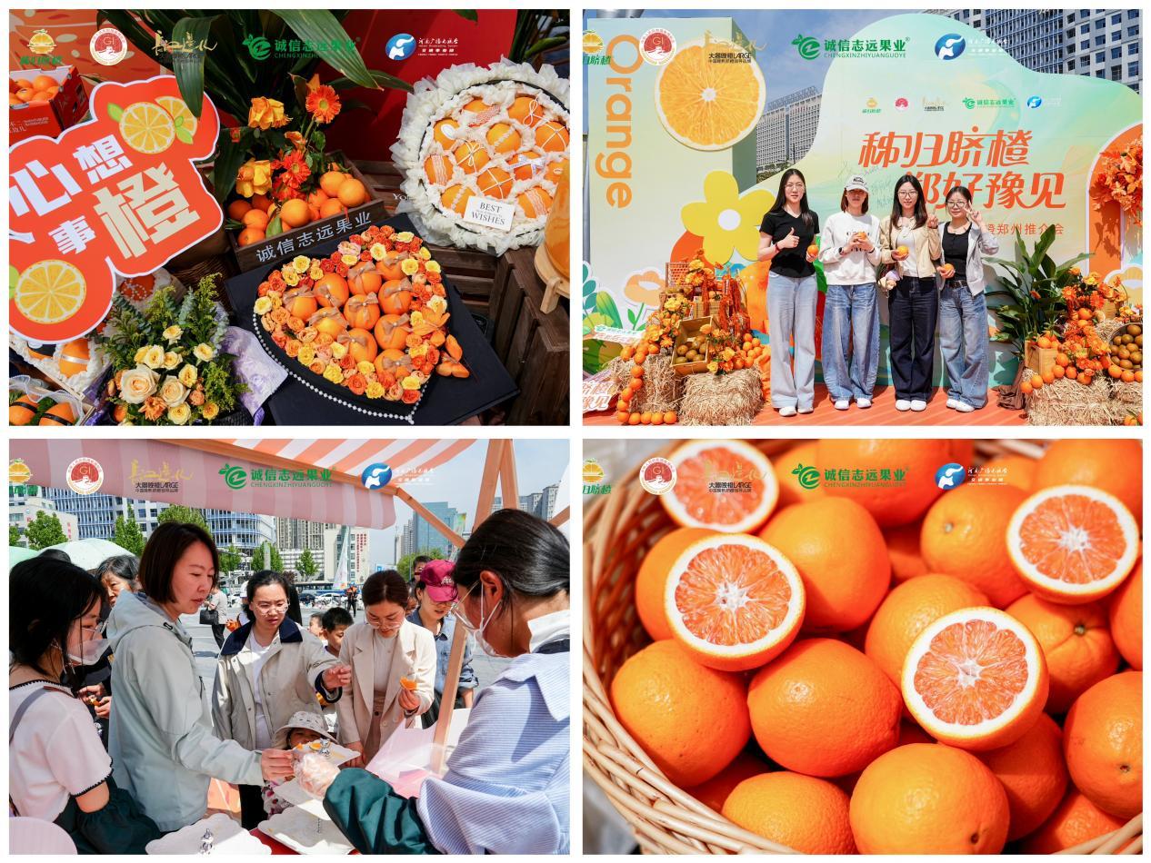 游戏互动及秭归脐橙品鉴现场 李芳 摄