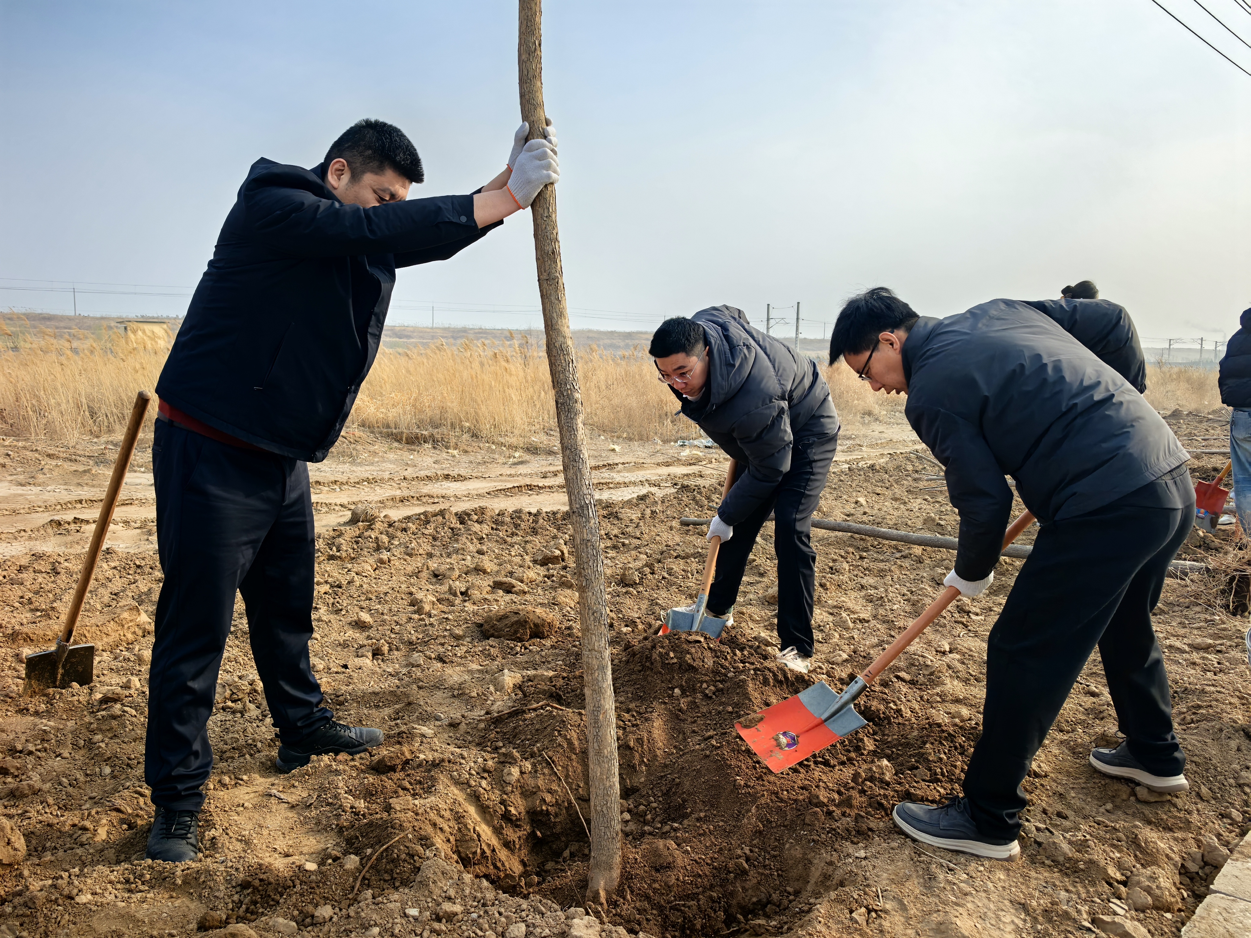 潍坊滨海区全面开展三年绿化提升行动 致力打造生态滨海最美底色