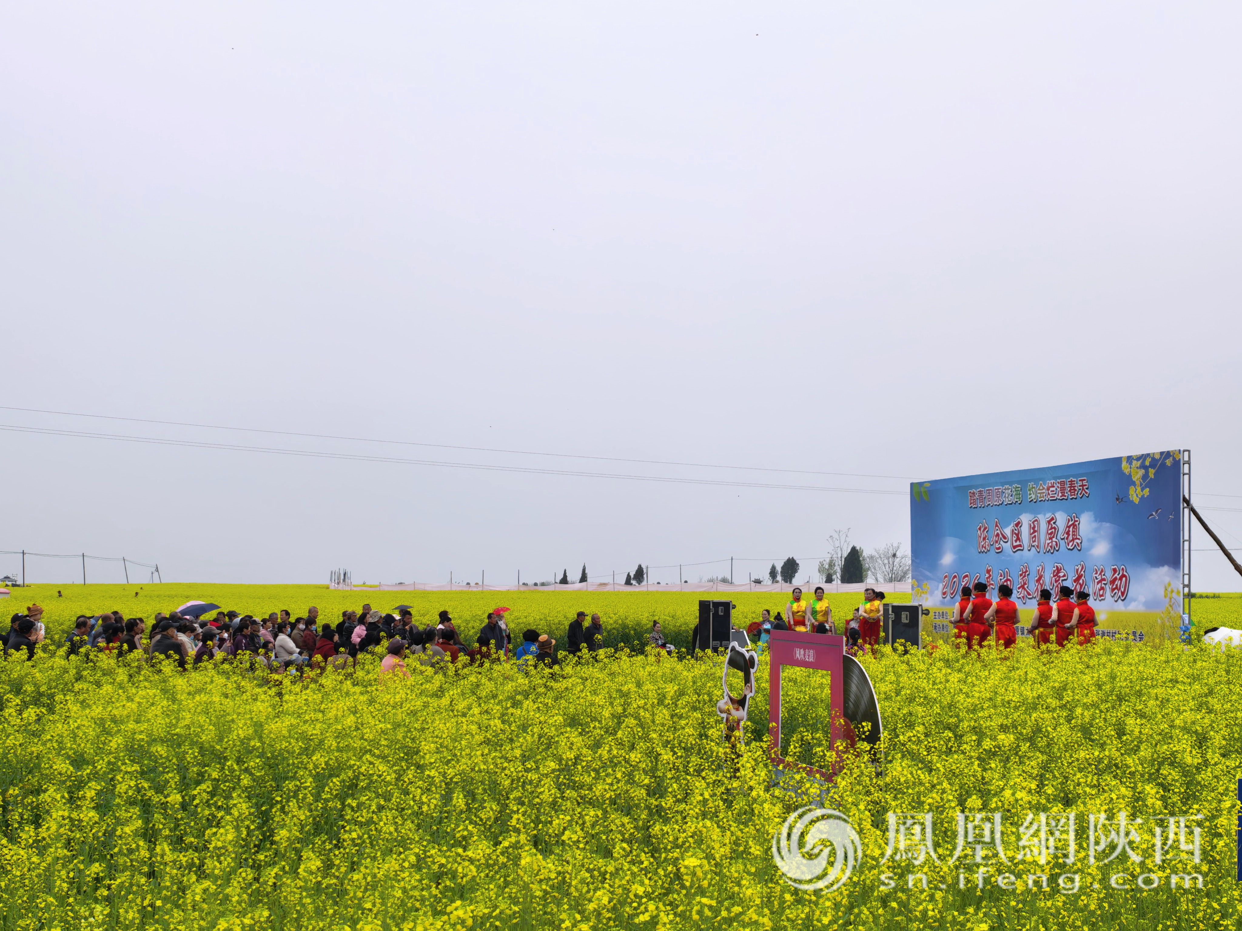 陳倉區(qū)周原鎮(zhèn)2026年油菜花賞花活動啟動儀式成功舉行