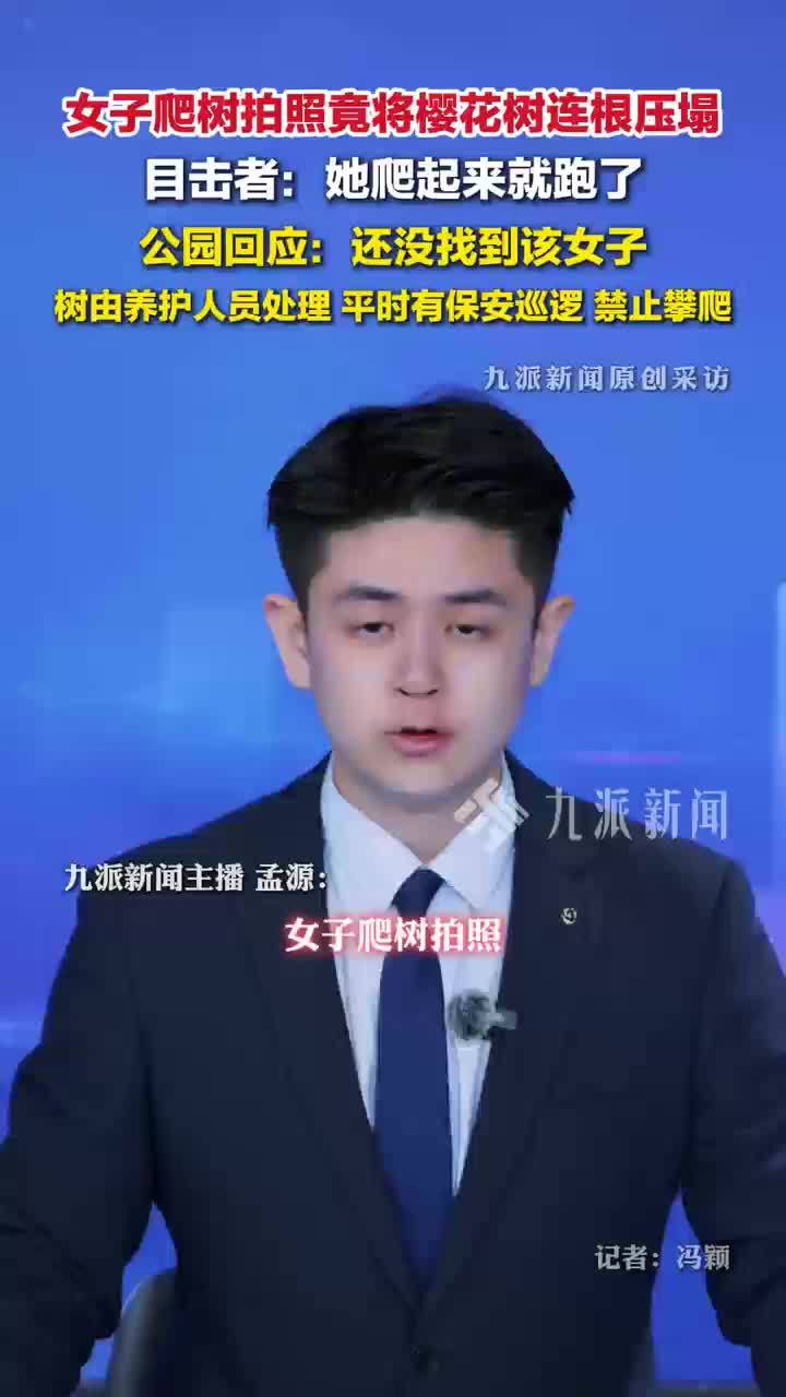 女子爬树拍照竟将樱花树压倒，公园：还没找到该女子