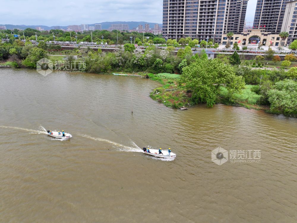 2026年4月8日，江西赣江泰和段，水上保洁员正在巡江护水。