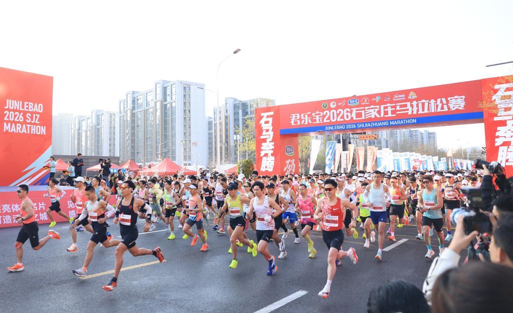 3月29日,2026石家庄马拉松赛鸣枪起跑。(受访单位供图)