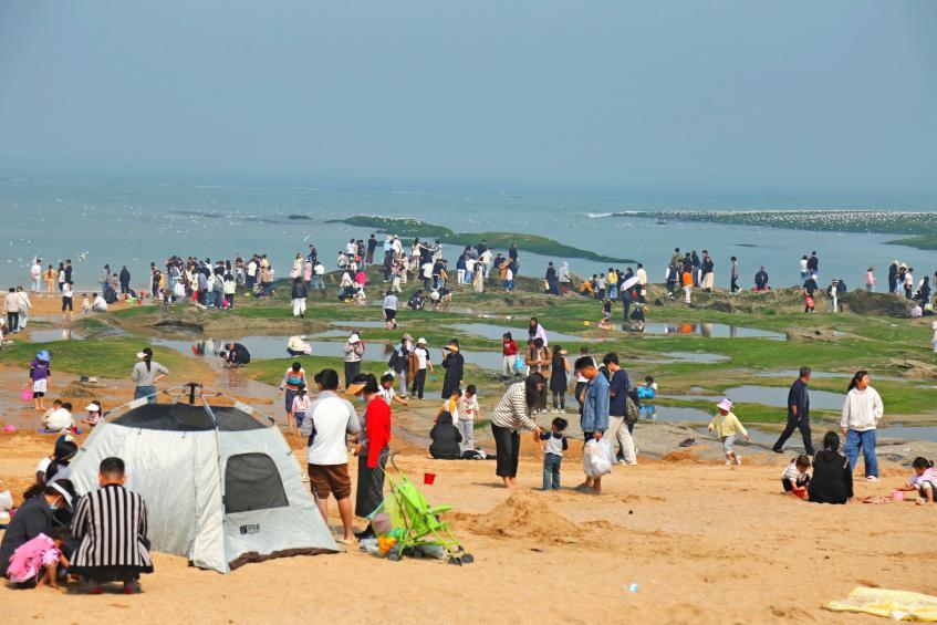 灯塔景区假期中赶海踏春热度不减。张守本 摄