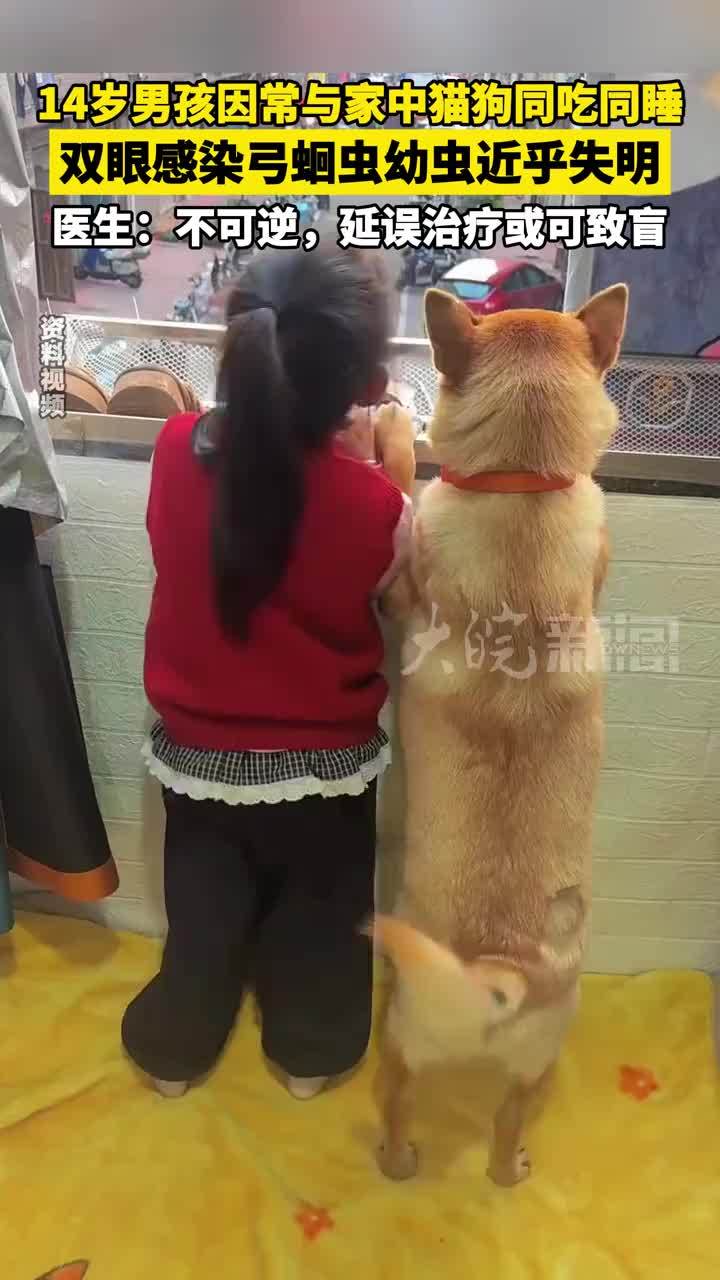 14岁男孩因常与家中猫狗同吃同睡，双眼感染弓蛔虫幼虫近乎失明，医生：不可逆，延误治疗或可致盲