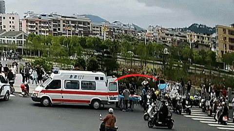 4月9日(2)2026491528407.gif