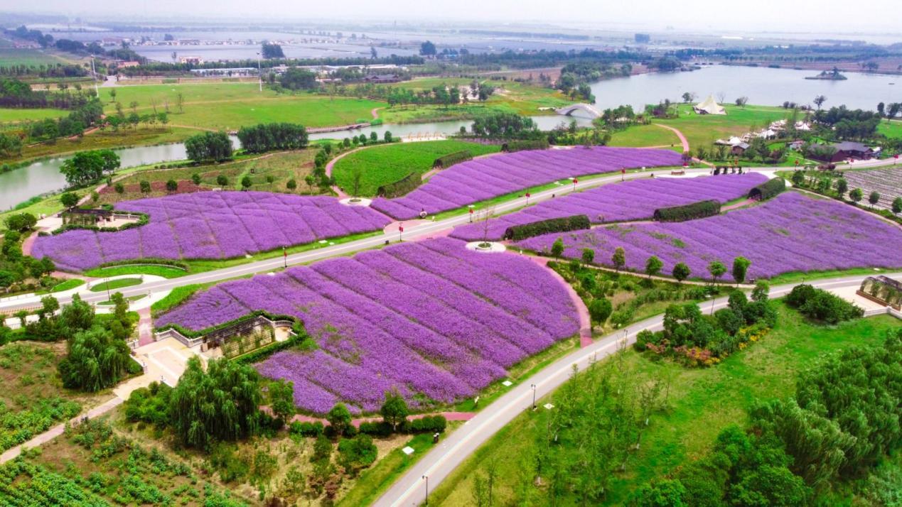 白马湖生态旅游景区。