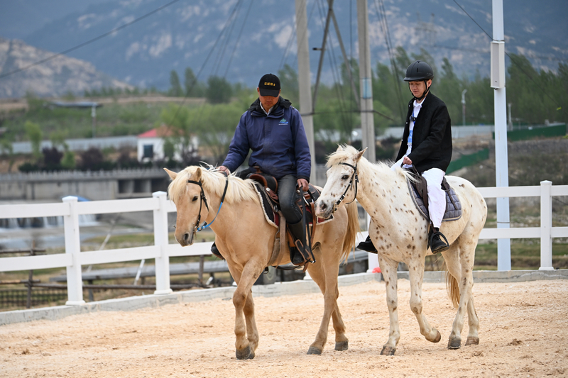 岱宗青&middot;城飞花：踏青寻根，探寻宝藏泰安