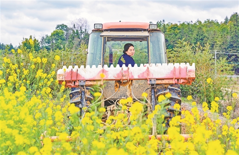 3月18日，田念驾驶旋耕机在田间劳作。