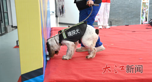 成功找到燃气泄漏源头。