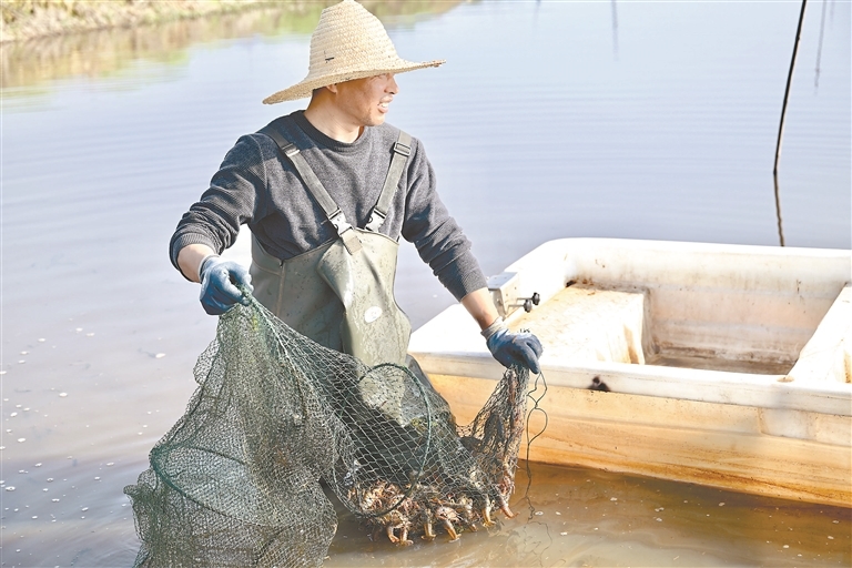 南昌：春捕小龙虾（图）