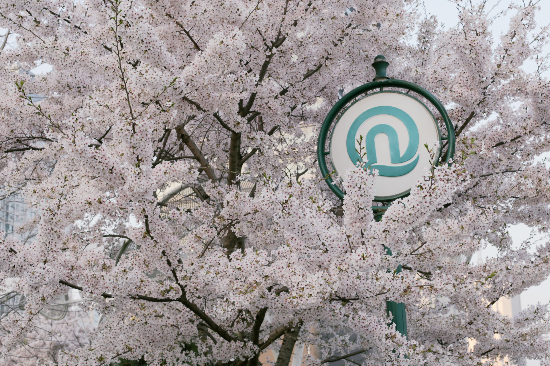 188万人次！青岛地铁单日客流量创今年新高