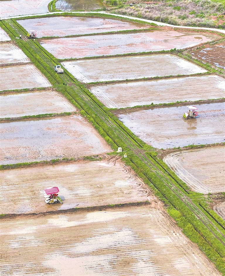 3月30日，南丰县市山镇前山村，农机手驾驶农机在田间作业。特约通讯员 谢 东摄