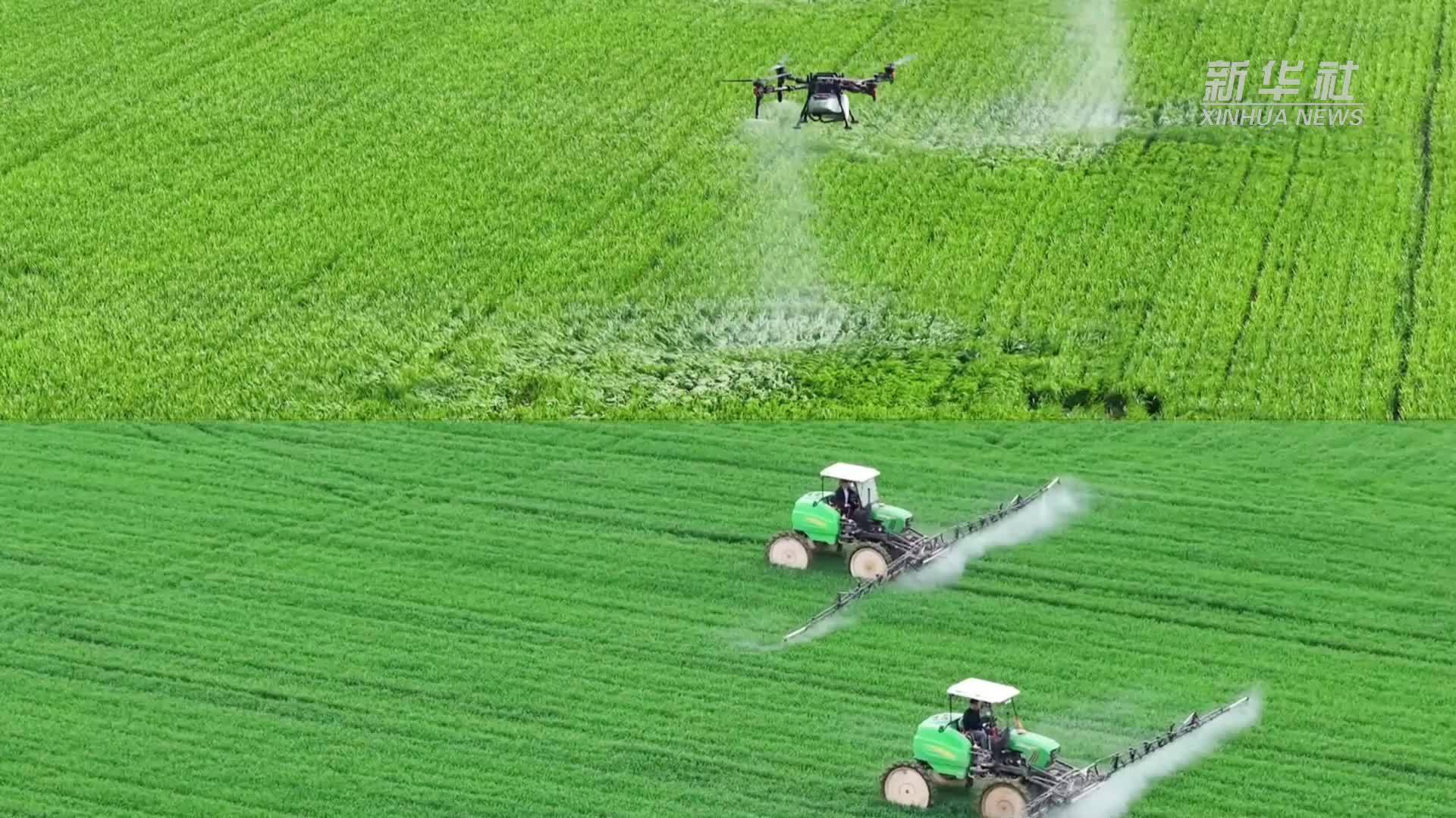 春耕一线观察｜种田“老把式”遇上“新科技”