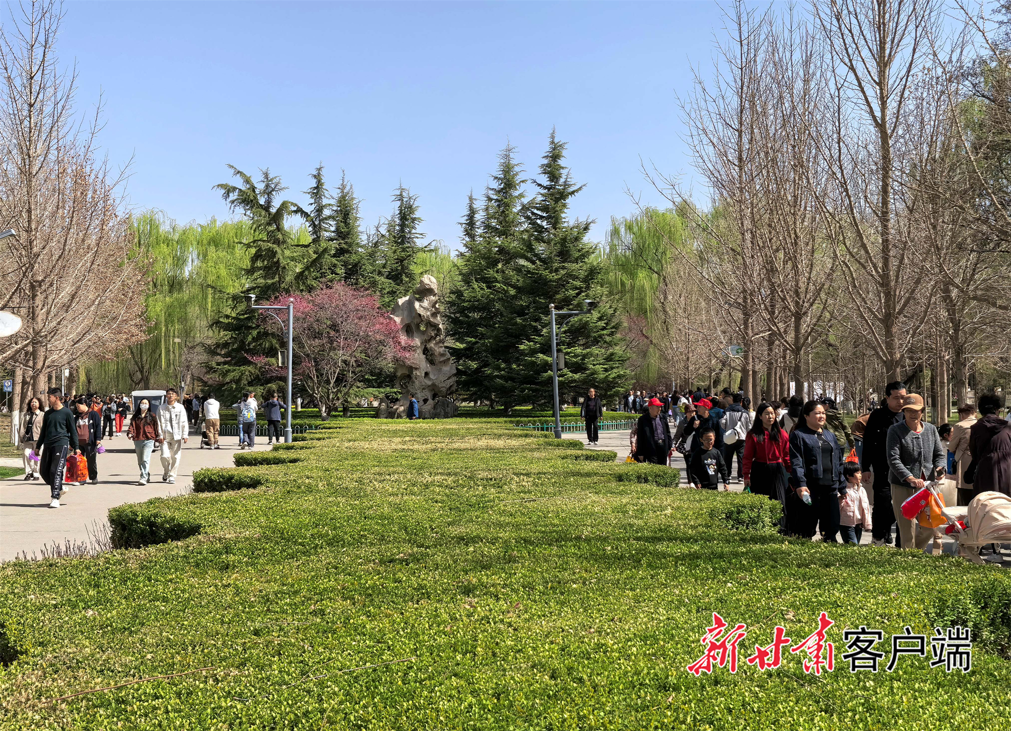 兰州植物园春意盎然