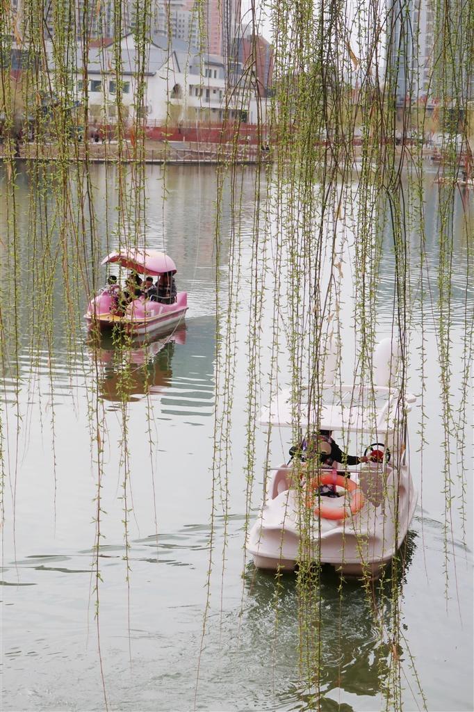 □贠小敏　摄影