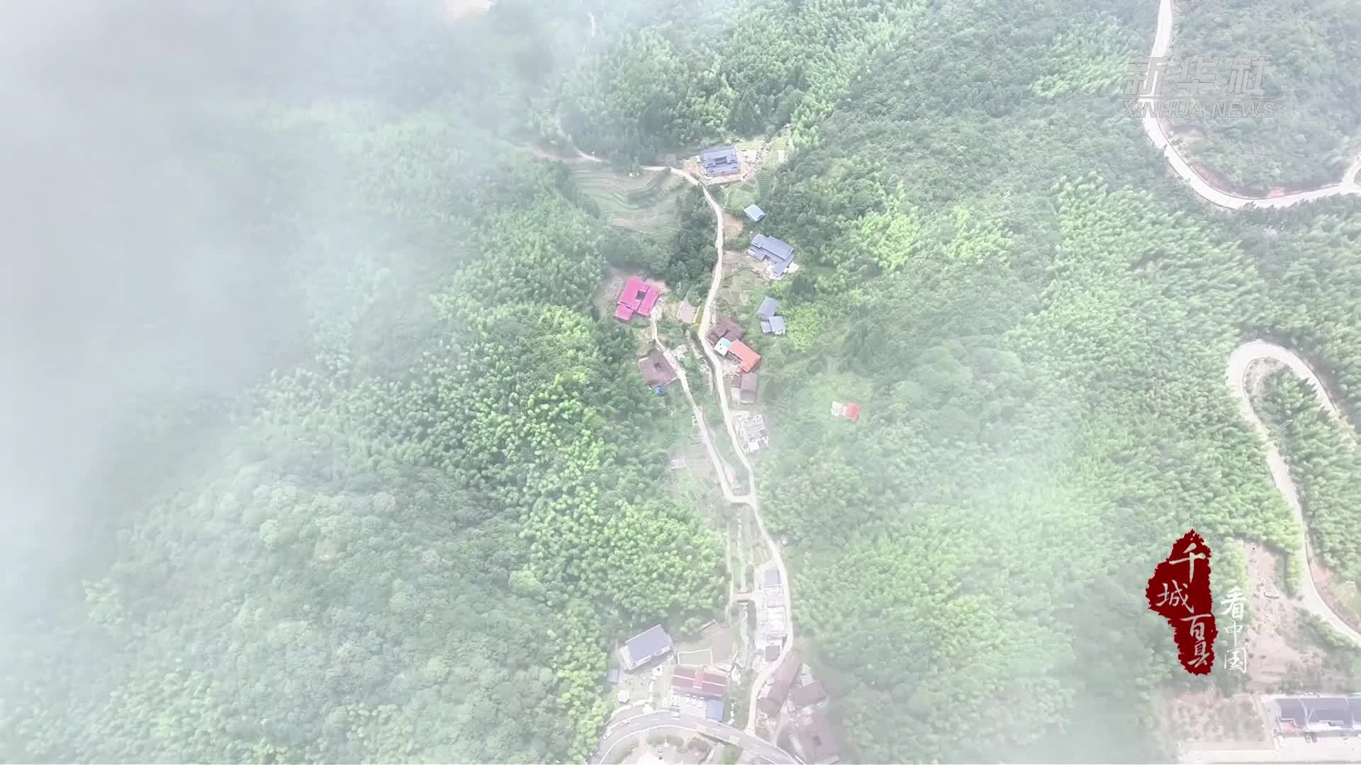 千城百县看中国·赏花季｜福建华安：绣球花开映山乡