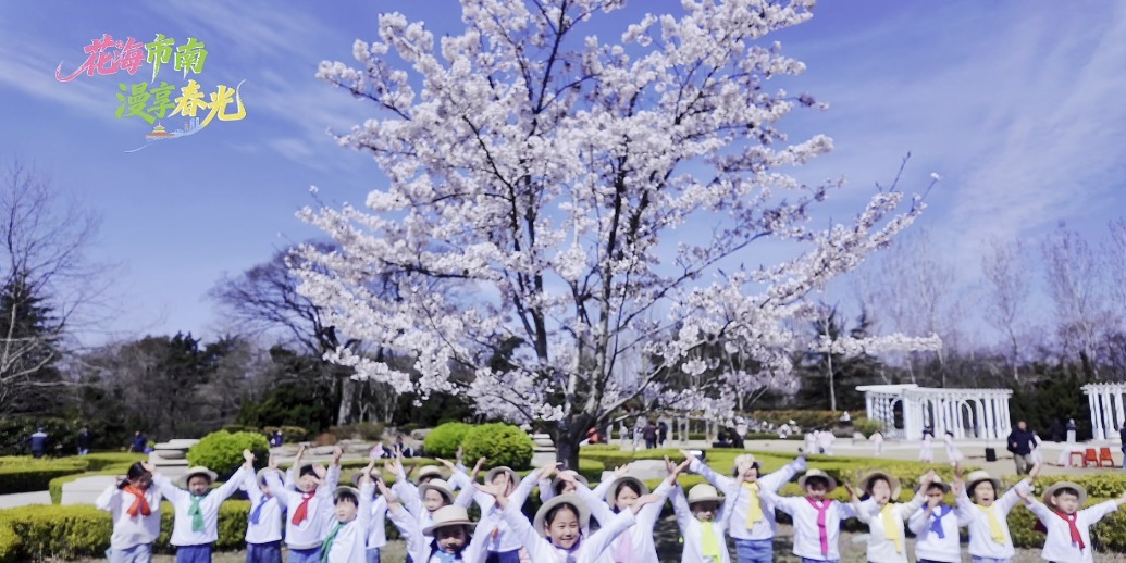 凤凰视频|“花开有声・艺绘春色”主题活动在中山公园樱花树下精彩启幕