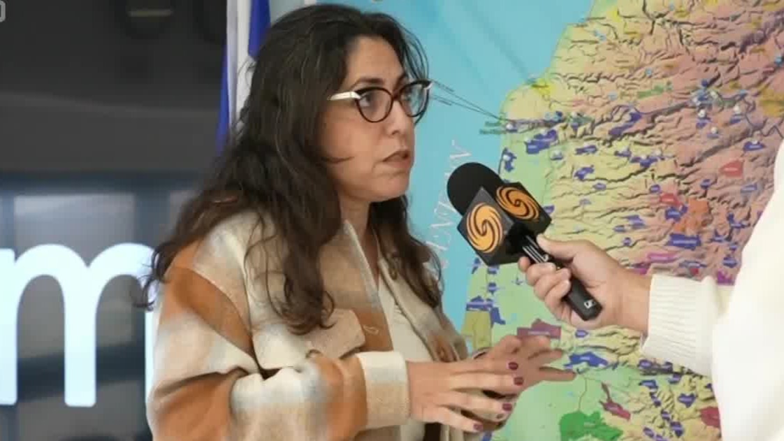 以色列专家：清除真主党武装是以军在黎巴嫩的首要任务