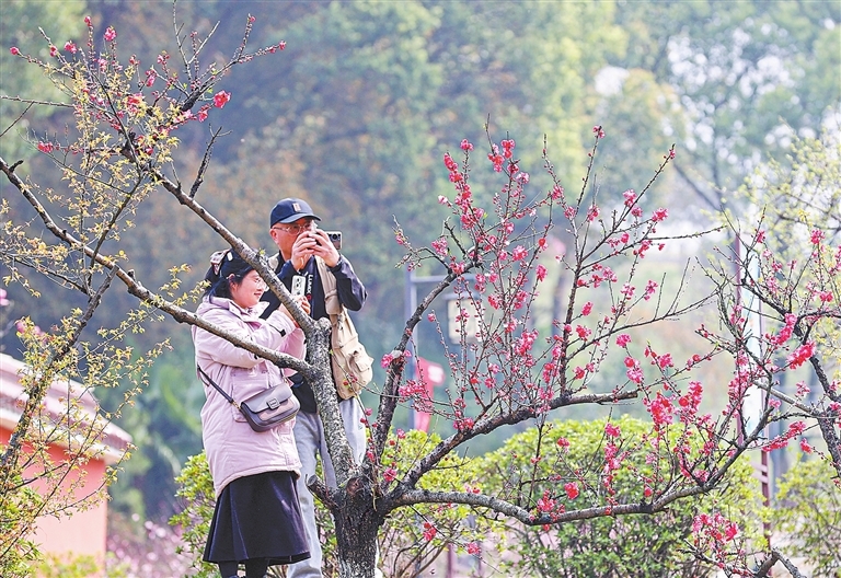 九江:以文明之姿 共赏繁花之美(图)
