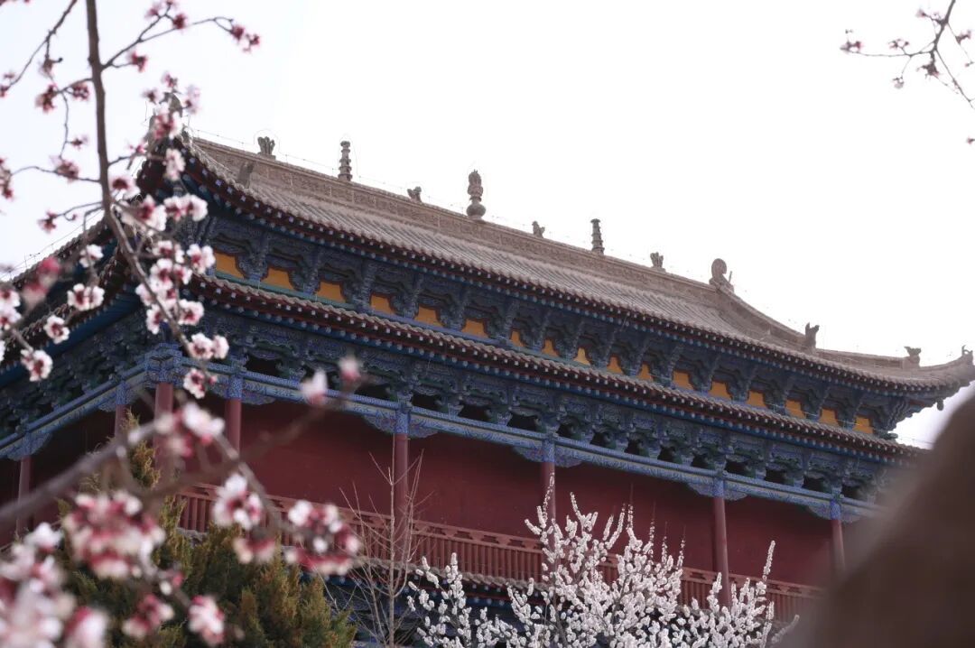 赴一场丝路儒风　醉赏古苑芳菲