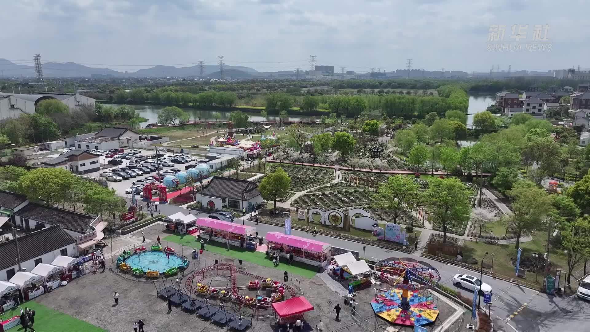 杭州余杭：赏“国色天香”逛共富市集