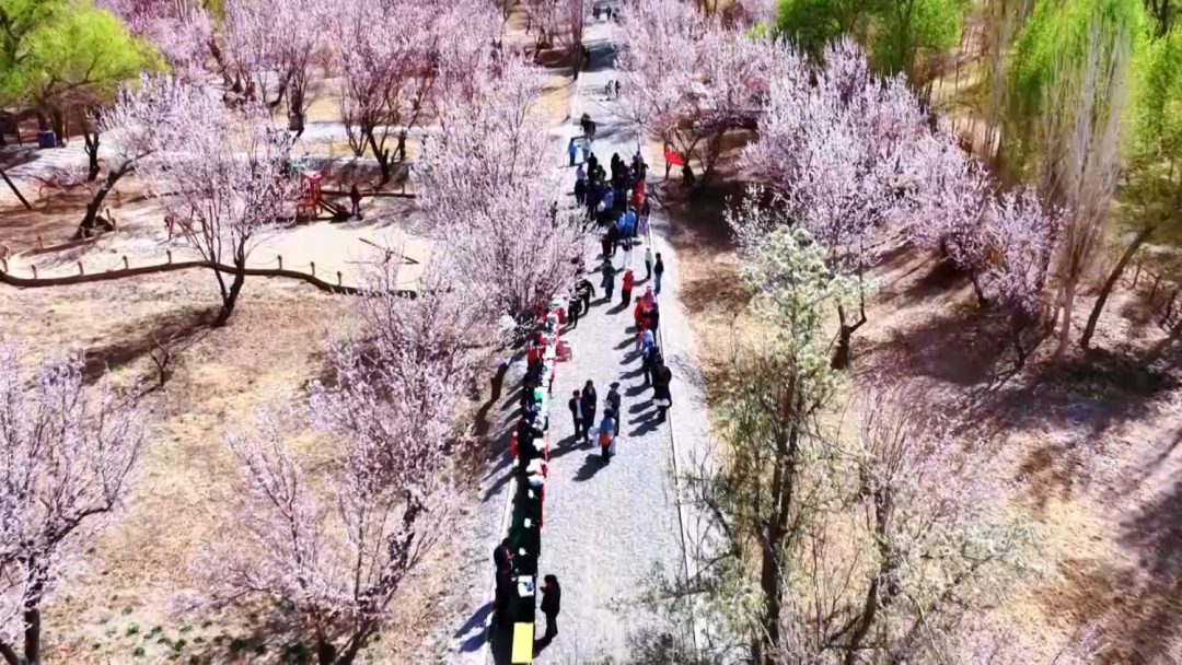 图源：掌上敦煌