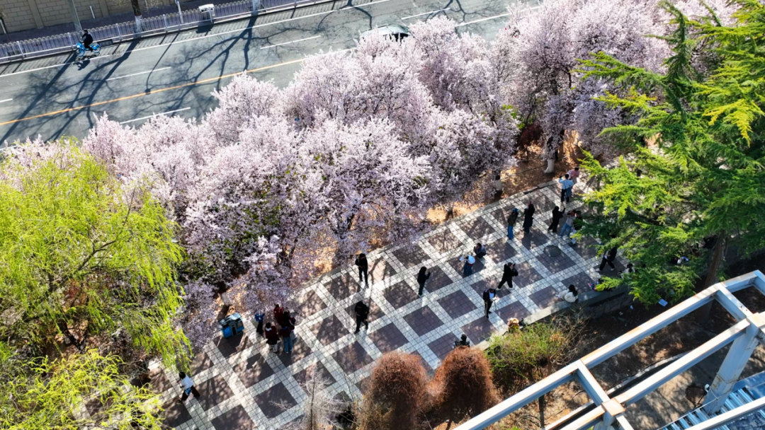 图源：城关发布