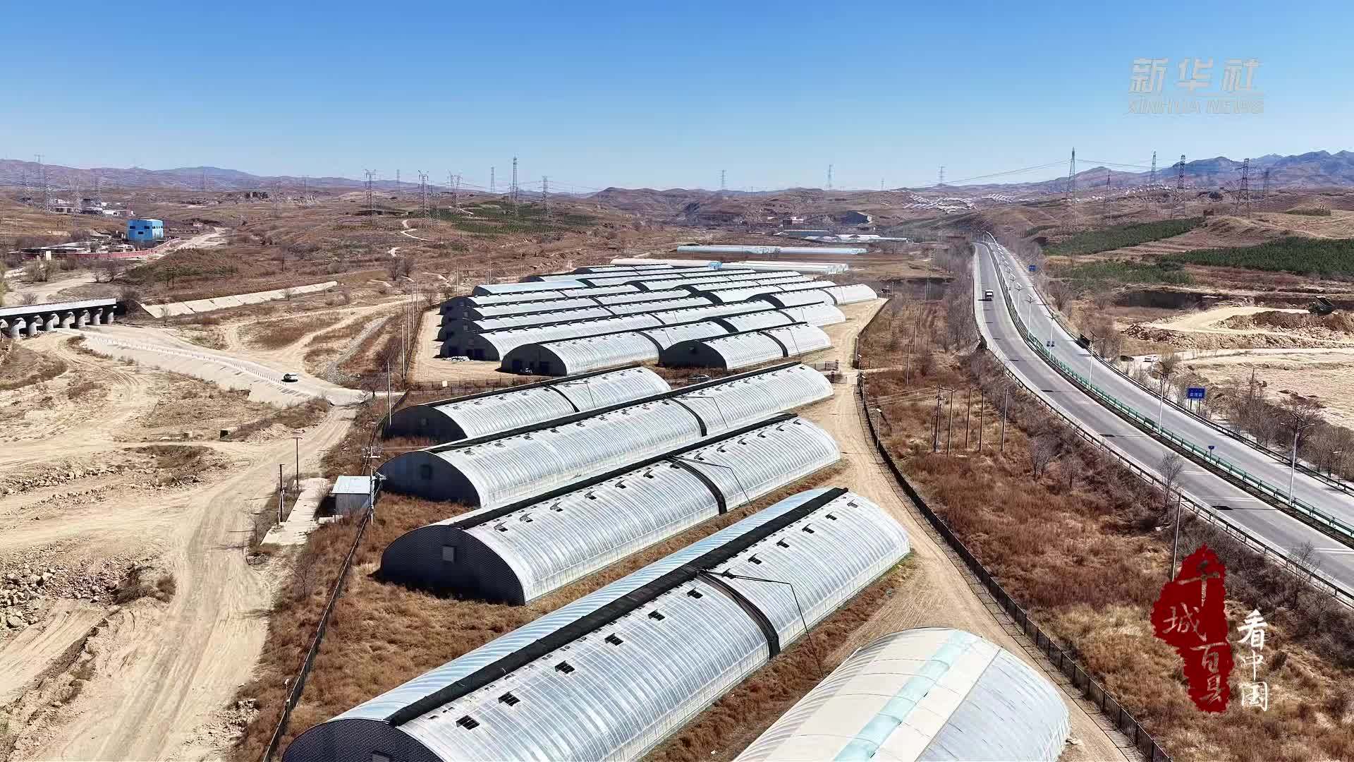 千城百县看中国｜内蒙古包头：育出“莓”好产业