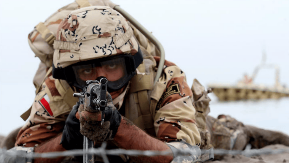 伊朗官方声称超1400万东谈主登记参战（占总东谈主口15%），包括正规军、改革卫队及巴斯基民兵，其中青少年最低年齿降至12岁（承担接济任务）。