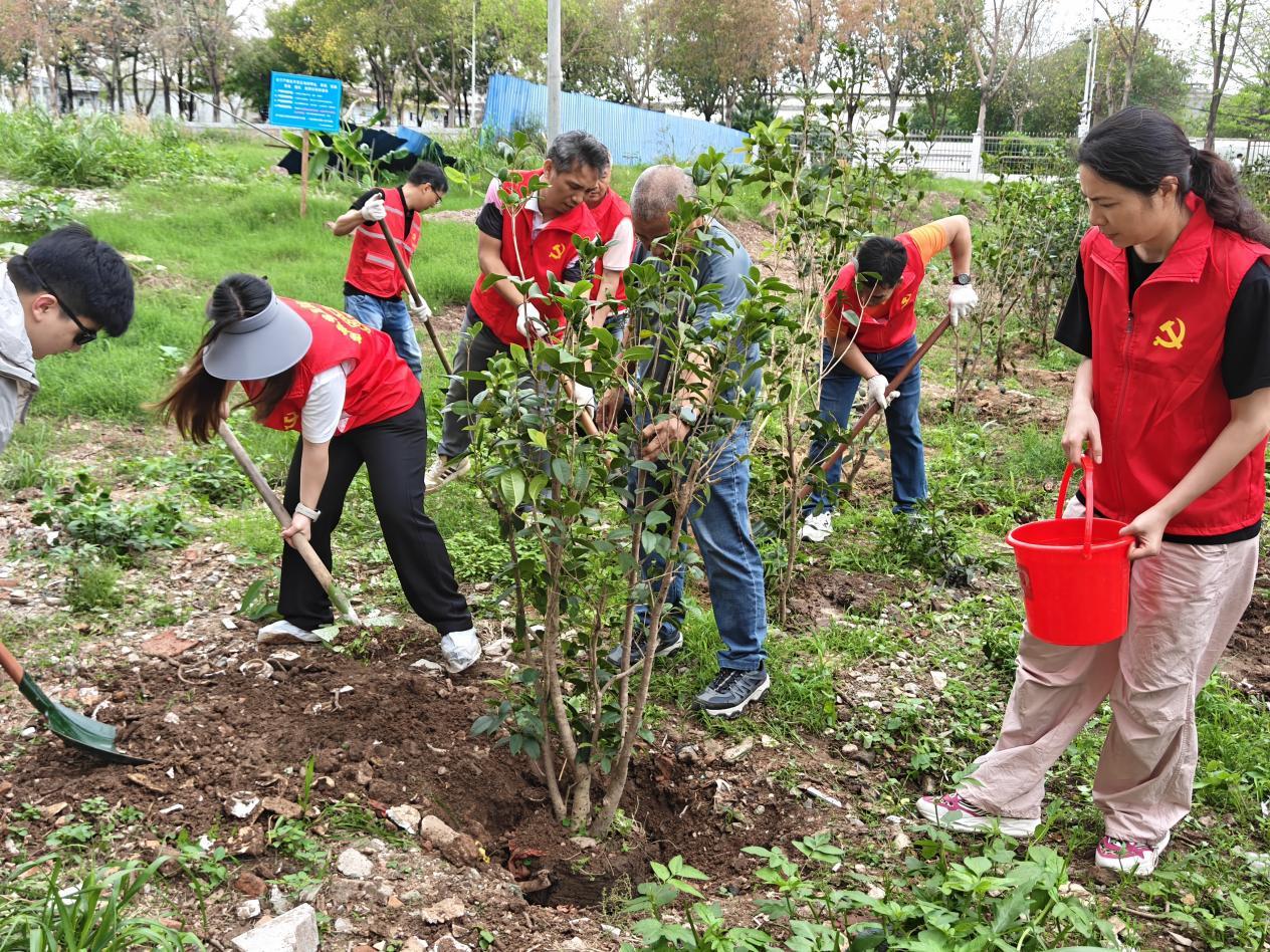 图为：现场植树（分会场）。
