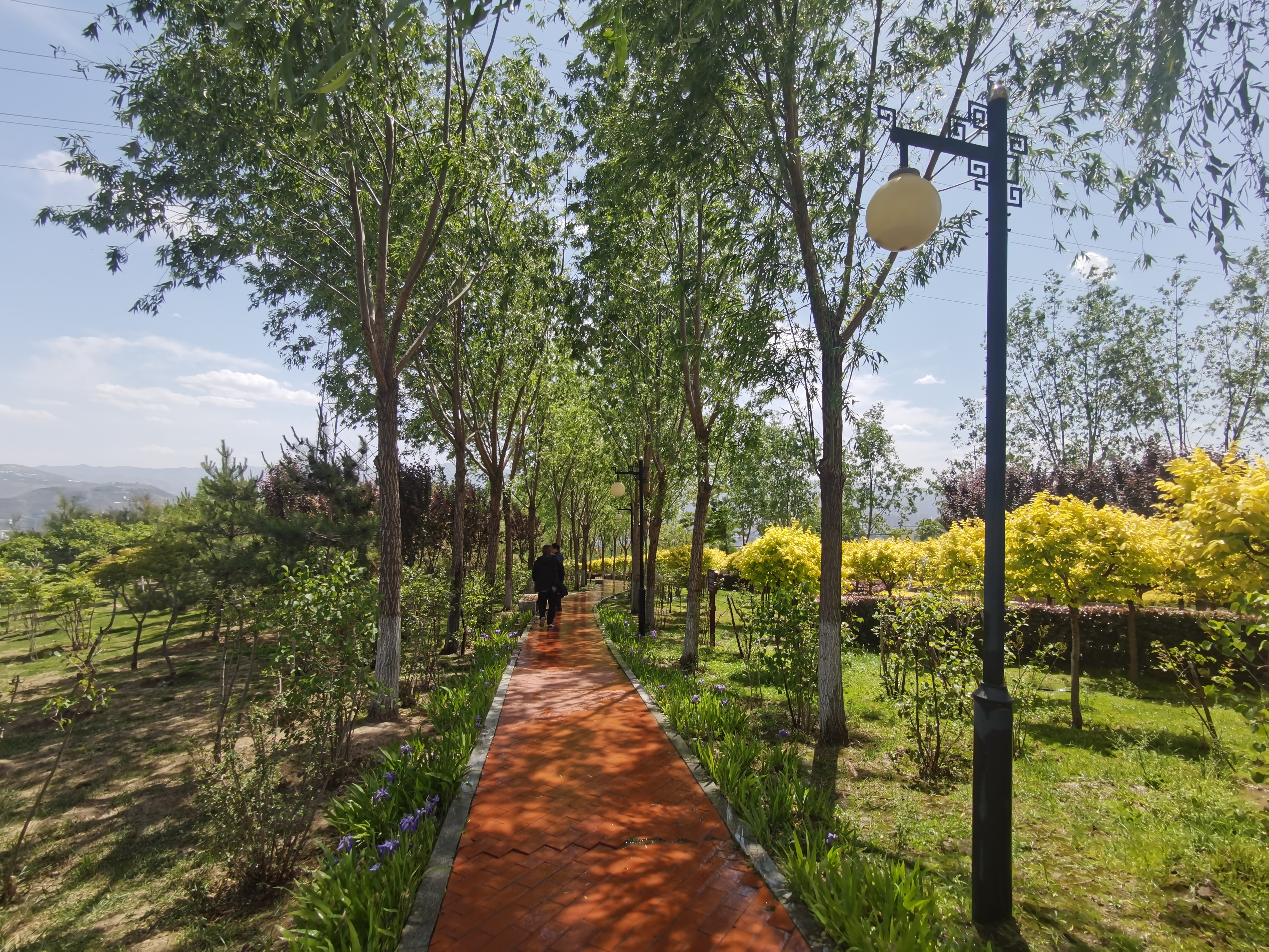 罗九公路小游园