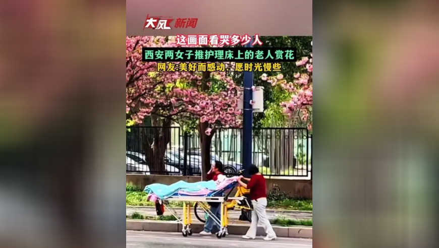 这画面看哭多少人，西安两女子推护理床上的老人赏花，网友：美好而感动，愿时光慢些