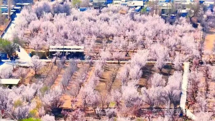 图源：敦煌市融媒体中心