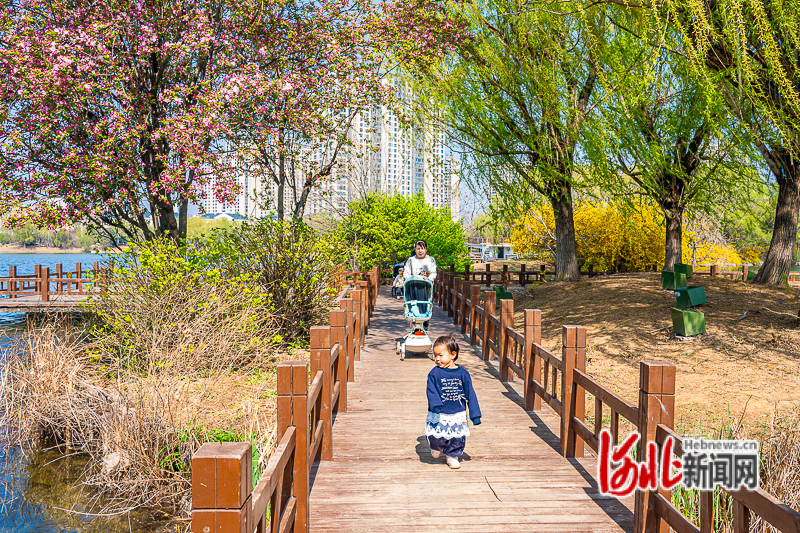 4月10日，市民在青龙湖公园游园。