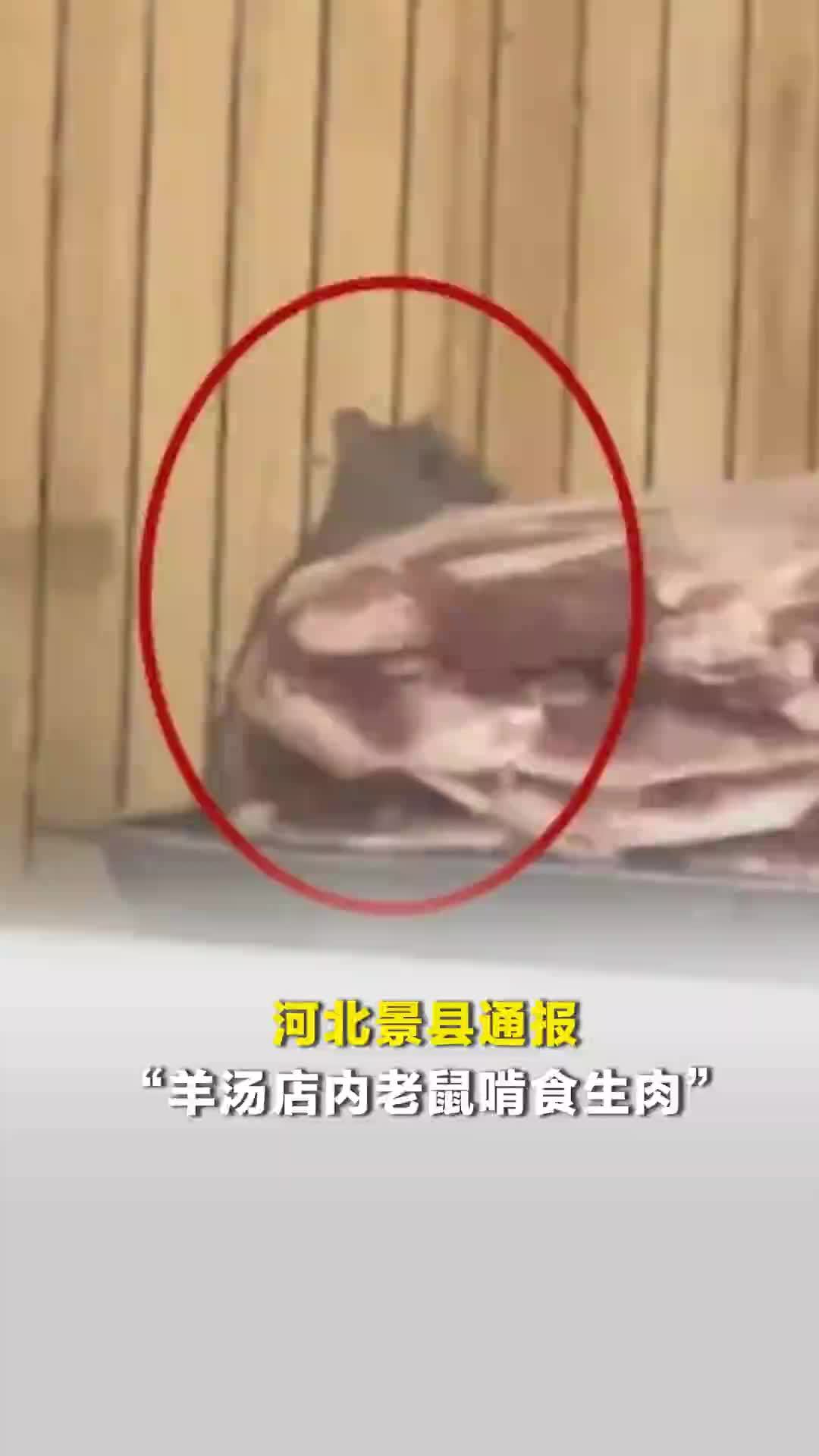 河北景县通报“羊汤店内老鼠啃食生肉”：属实，责令该门店停业整顿、全面消杀