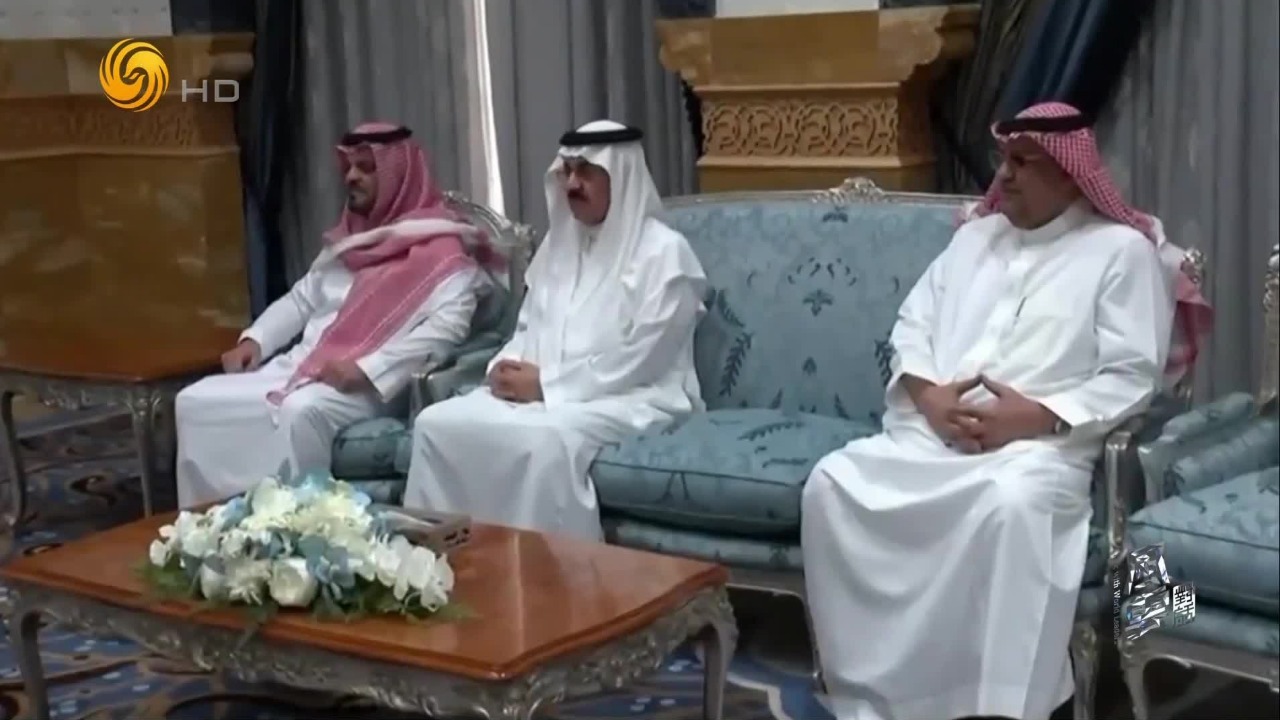 中东问题专家：海合会国家对伊朗立场不统一，阿联酋、沙特最强硬