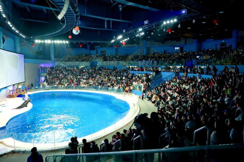 日照海洋公园的水上表演座无虚席。日照市文旅集团供图