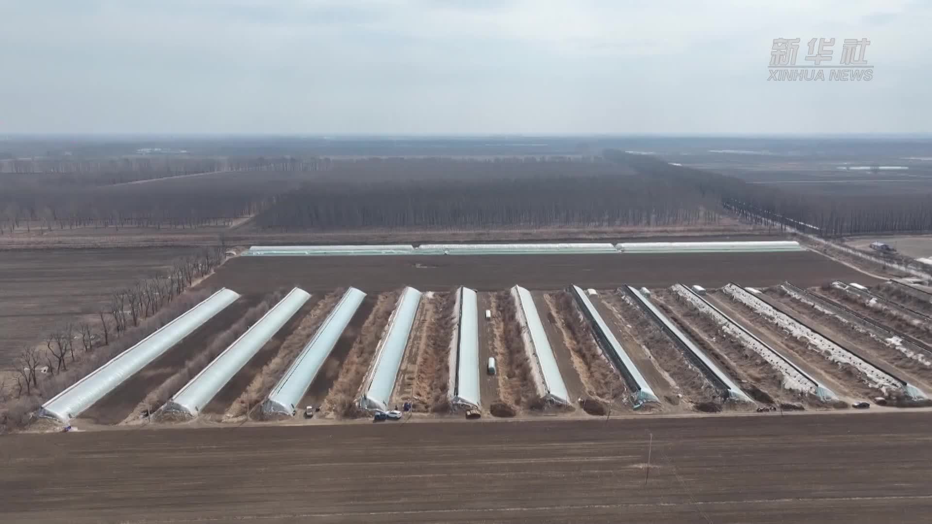 辽宁北镇：机械化育秧 水稻备耕忙