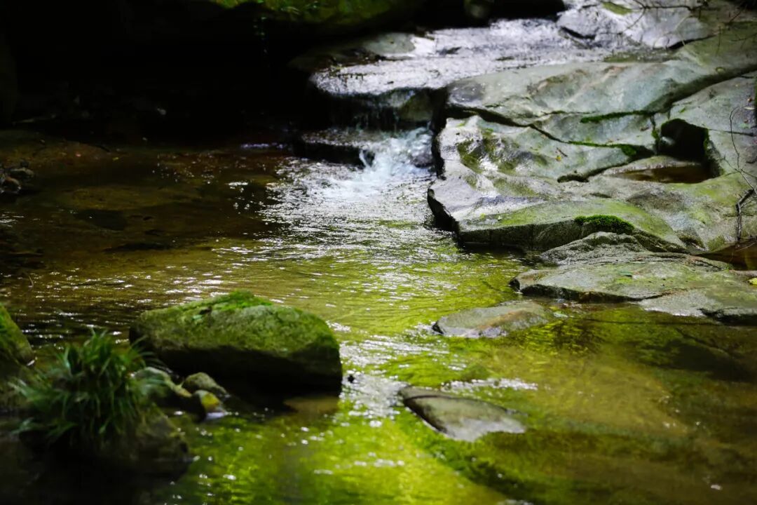 本组图片　李锐　摄