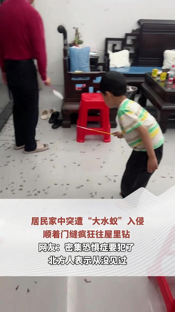 居民家中突遭“大水蚁”入侵 顺着门缝疯狂往屋里钻 网友：密集恐惧症要犯了 北方人表示从没见过