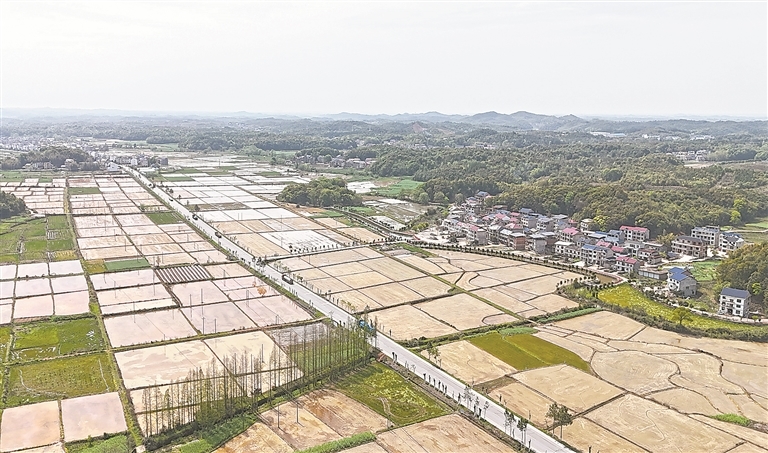 万年县：抢抓农时（图）