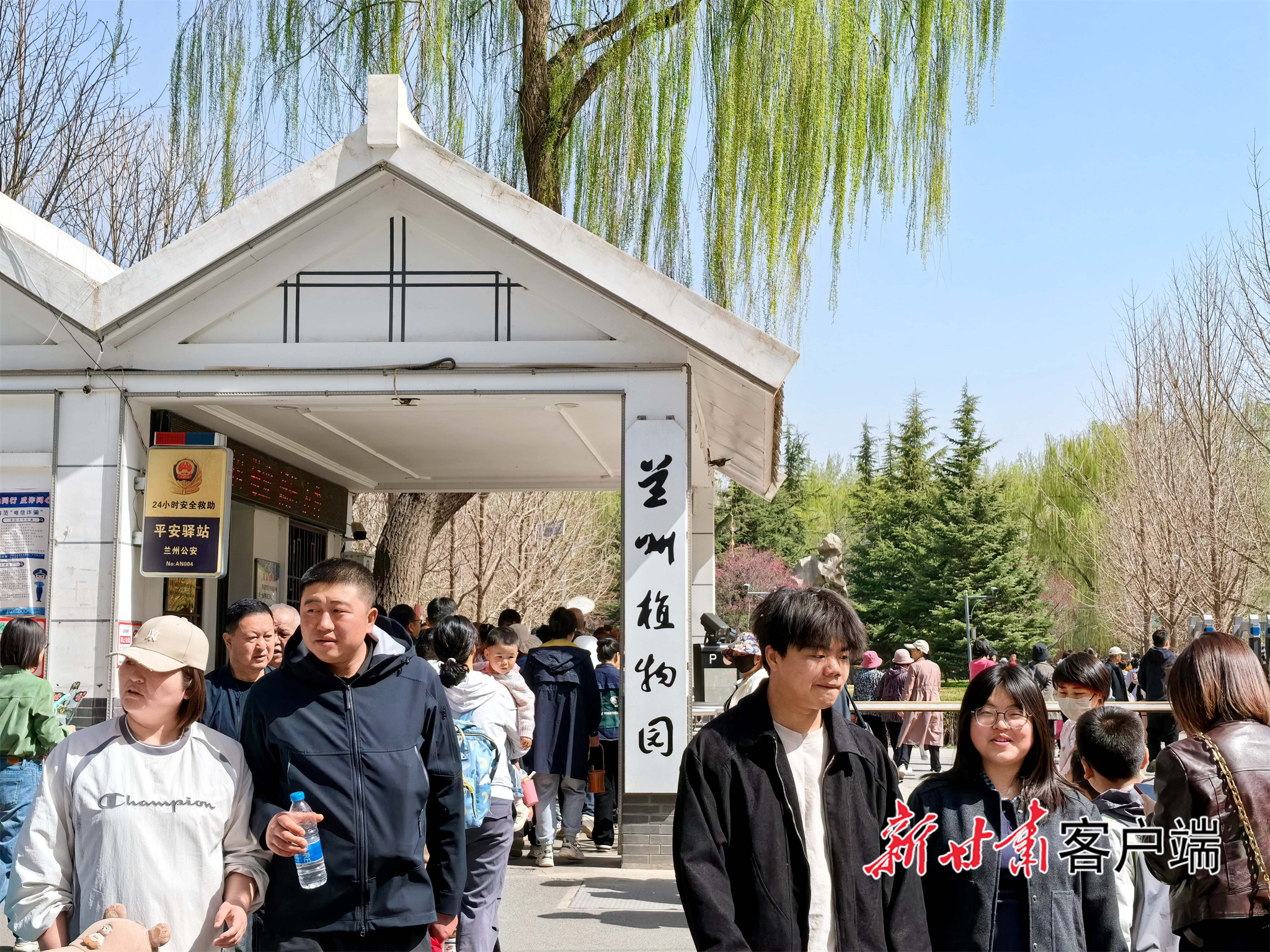 兰州植物园迎来旅游高峰